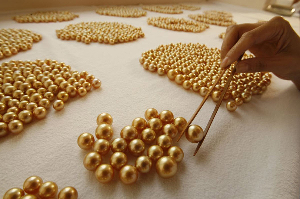 golden pearls30