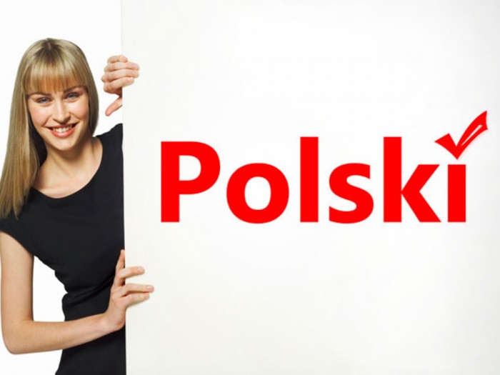 Польский язык. Бизнес-курс
