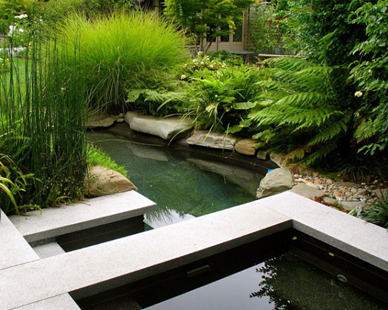 garden-pond-4785